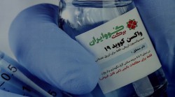 احتمال شروع واکسیناسیون عمومی واکسن ایرانی کرونا تا پیش از عید