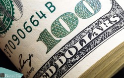 قیمت دلار در بازار متشکل چهارشنبه 22 تیر 1401
