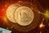 قیمت سکه، نیم سکه و ربع سکه امروز چهارشنبه 12 اردیبهشت 1403