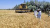 مبلغ 4.6 همت به‌عنوان خرید تضمینی گندم به کشاورزان پرداخت شد