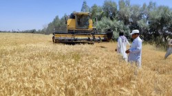 مبلغ 4.6 همت به‌عنوان خرید تضمینی گندم به کشاورزان پرداخت شد