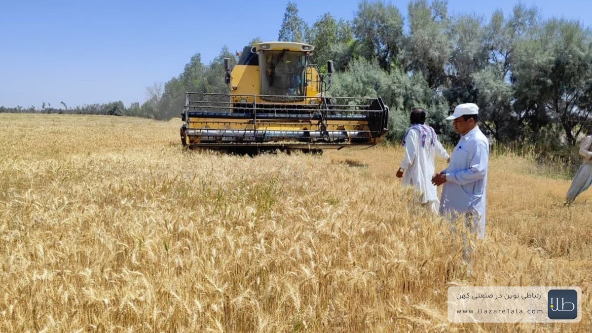 مبلغ 4.6 همت بهعنوان خرید تضمینی گندم به کشاورزان پرداخت شد