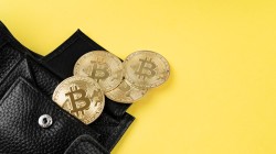 بیت‌کوین پیشتاز بازار دیجیتال؛ رمزارزهای گمنام با رشدهای غیرمنتظره درخشیدند