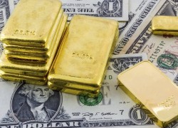 افزایش قیمت طلا، سکه و دلار در 6 شهریور / بازار در مدار صعود