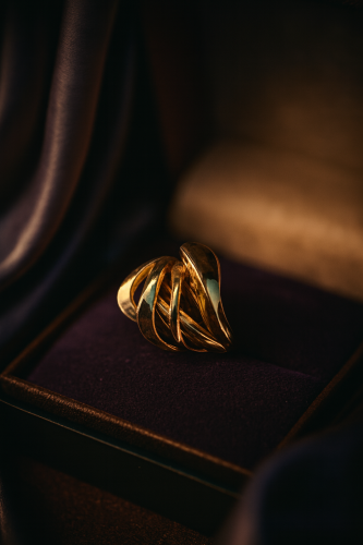 انگشتر سورنا (کد 5500)