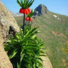 امید  کیانی ده کیانی 